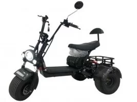 Трехколесный электроскутер CityCoco GT-X5 Trike